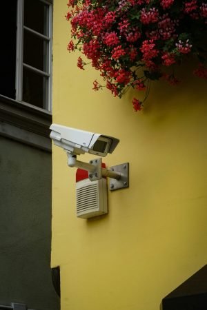 max-bohme-cT7IeEz5-G8-unsplash